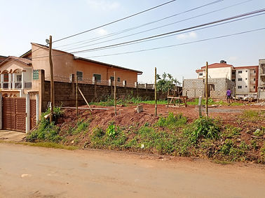 Implanting bamboo pillars