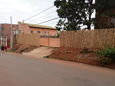 Work in progress on site